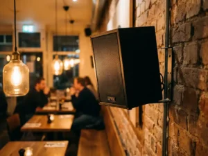 Zwarte LYNX passieve speaker op wandbeugel in een Hollands restaurant met houten tafels en bakstenen muur op de achtergrond.