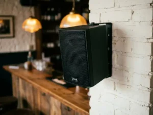 Matte-zwarte LYNX passieve speaker met hexagonaal metalen rooster op witte bakstenen muur in Nederlands café.