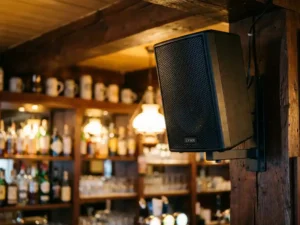 Zwarte LYNX passieve speaker op wandbeugel in gezellig Nederlands café, houten bar met flessen op de achtergrond.