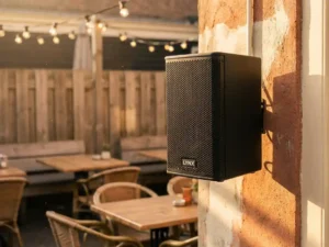 Zwarte LYNX passieve speaker op een zonnige Amsterdamse caféterras muur, warme middaglicht met zachte schaduwen op het hexagonale metalen grille.