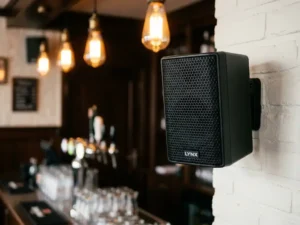 Compacte zwarte LYNX speaker met hexagonaal metalen rooster op witte bakstenen muur in een gezellig bruin café.