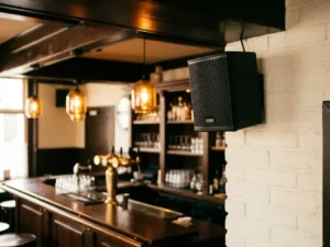 Compacte zwarte LYNX speaker met hexagonaal metalen rooster gemonteerd op witte bakstenen muur in een gezellig bruin café.