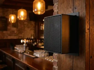Compacte zwarte passieve speaker met hexagonaal metalen grille aan de muur van een Nederlandstalig café met amberkleurig sfeerverlichting.
