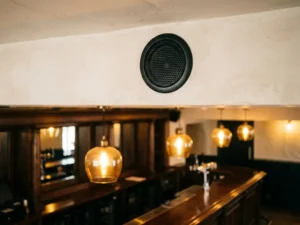 Zwarte inbouwluidspreker met hexagonaal metalen rooster in wit gestucte plafond van een Nederlands café met warme sfeerverlichting.