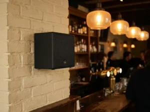 Compacte zwarte LYNX passieve speaker gemonteerd op witte bakstenen muur in bruin café, met warme amber hanglampen op de achtergrond.